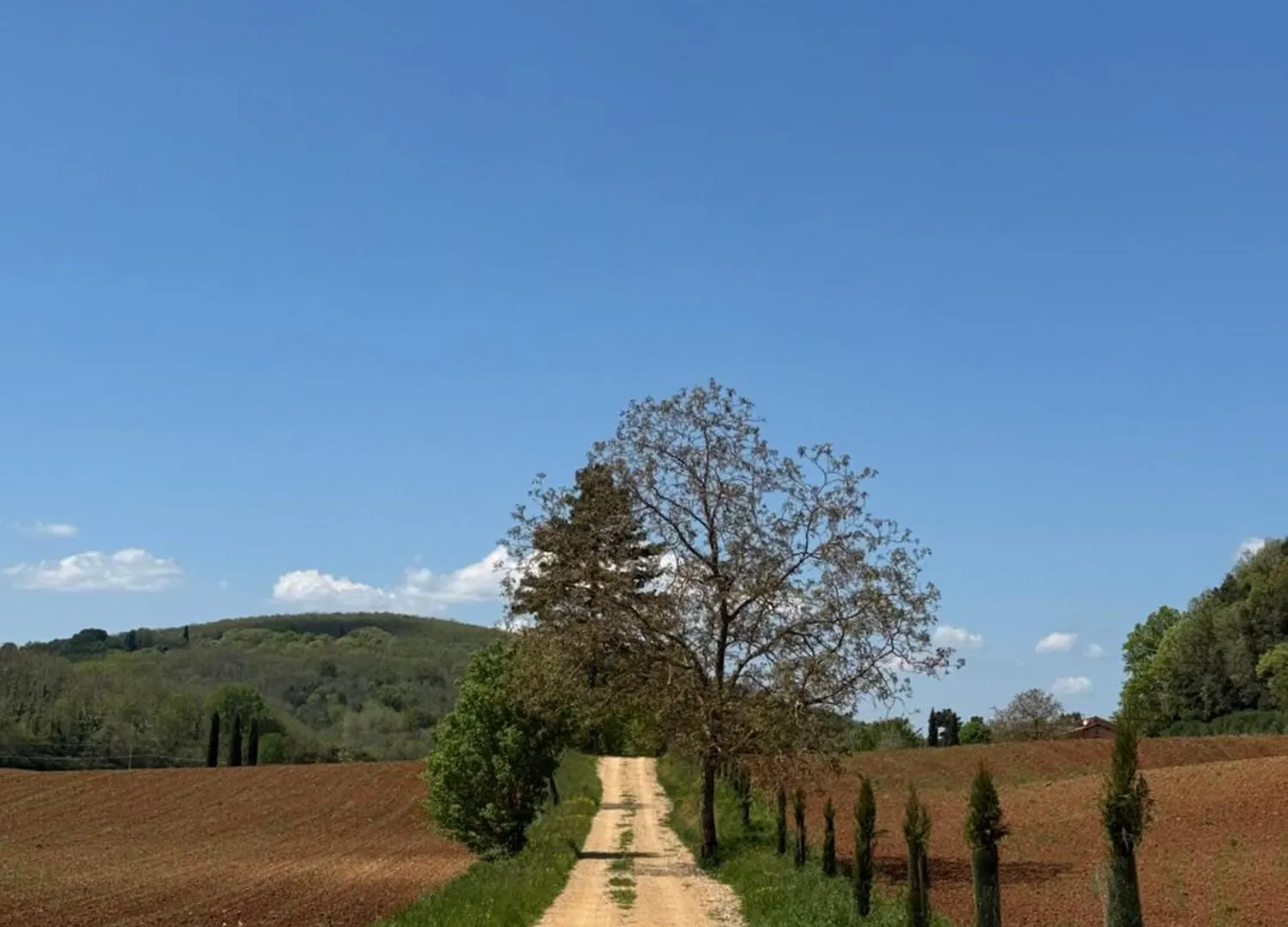 Villa Le Caggia Sovicille